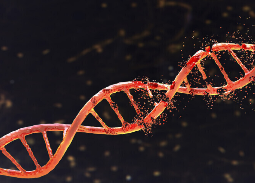 قابلیت جدید گوگل برای رمزگشایی ژنوم انسان و تجزیه و تحلیل جهش‌های ارثی