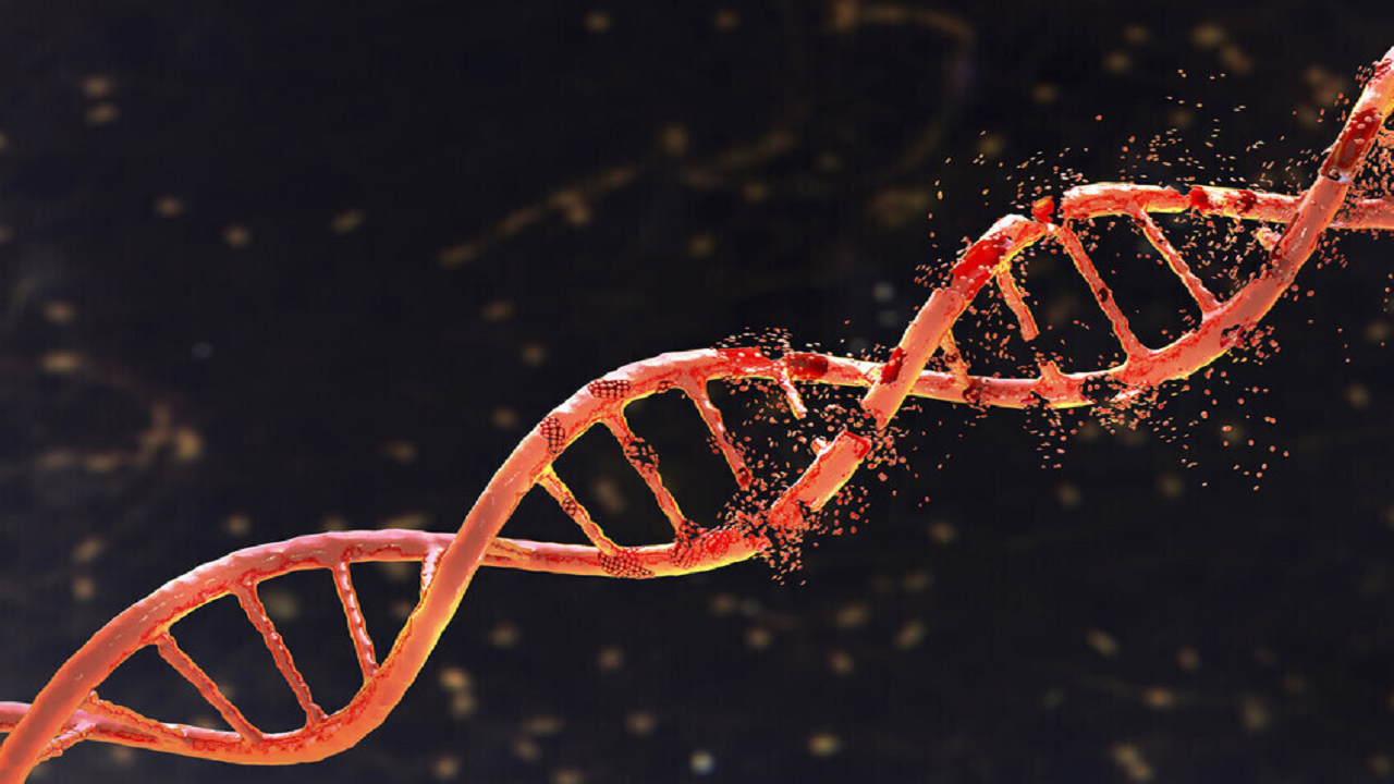 قابلیت جدید گوگل برای رمزگشایی ژنوم انسان و تجزیه و تحلیل جهش‌های ارثی