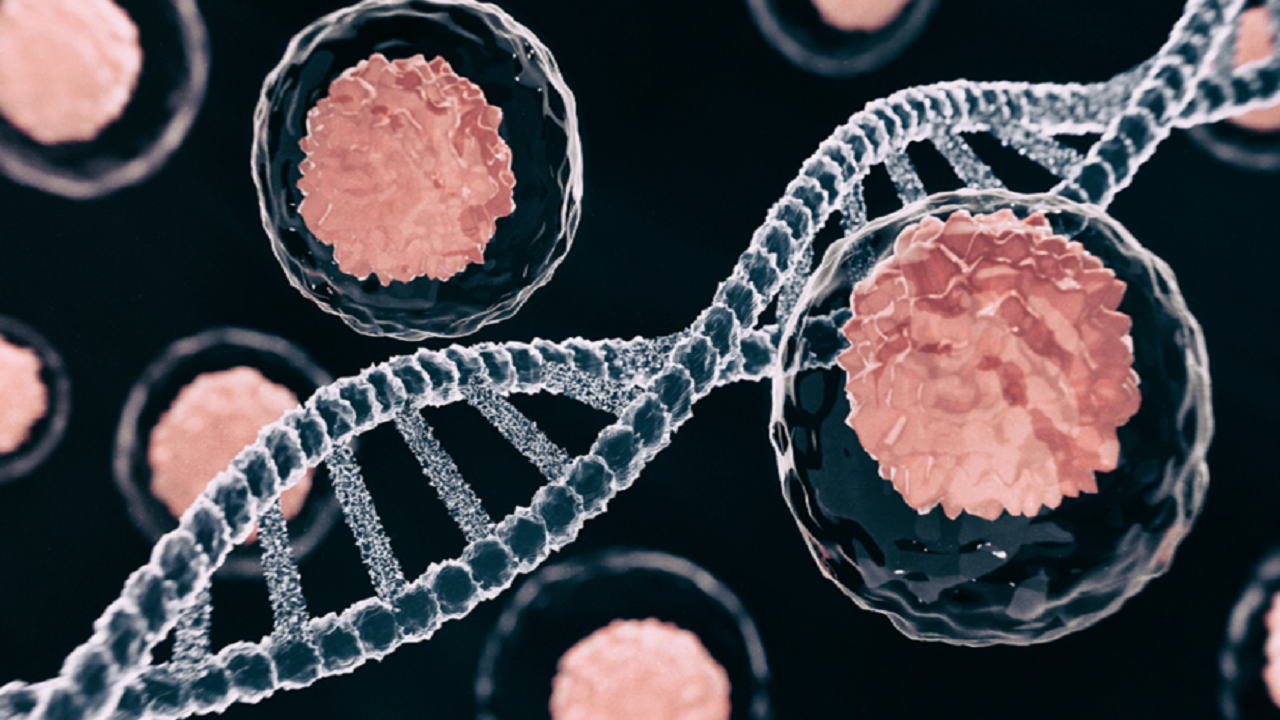 شناسایی ۱۴۲ هزار مورد ابتلای جدید به سرطان در کشور/ تشخیص زود هنگام جلوی مرگ را می‌گیرد