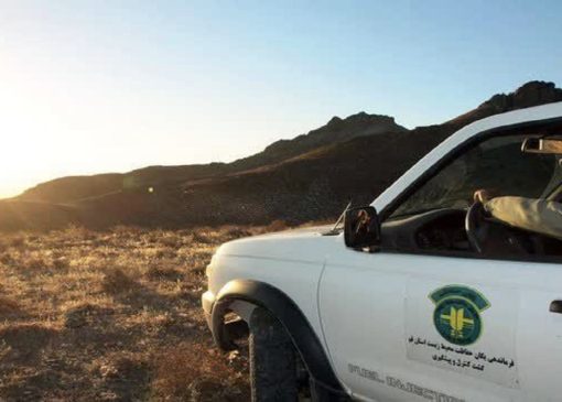 غافل‌گیری شکارچیان غیربومی با هوشیاری محیط‌بانان قمی