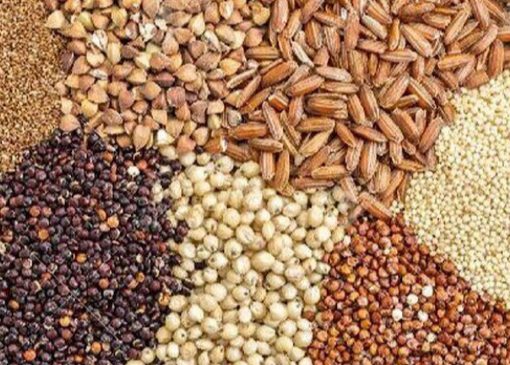 ابلاغ دستورالعمل تأمین ارز واردات نهاده‌های دامی در ازای پذیرش اوراق گام