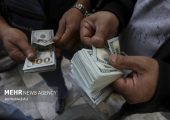تصمیم بزرگ ارزی دولت زیر ذره‌بین بخش خصوصی